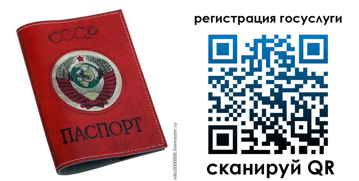 прописка ребенка в Пионерском